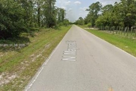 Terrain à vendre à Clewiston, Floride № 2021497 - photo 3