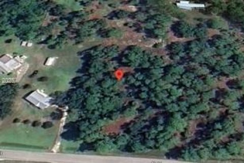 Terrain à vendre à Clewiston, Floride № 2021497 - photo 7