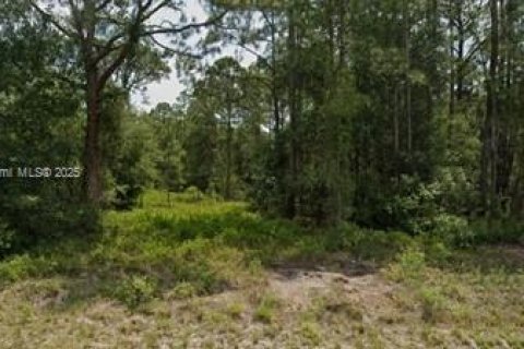 Terrain à vendre à Clewiston, Floride № 2021497 - photo 2