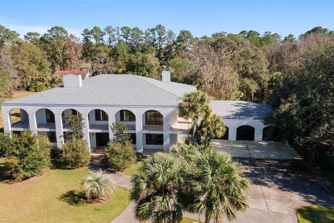 Casa en venta en Ocala, Florida, 5 dormitorios, 772.39 m2 № 1754730 - foto 1