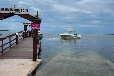 House in Key Largo, Florida 3 bedrooms, 75.81 sq.m. № 2086767 - photo 25