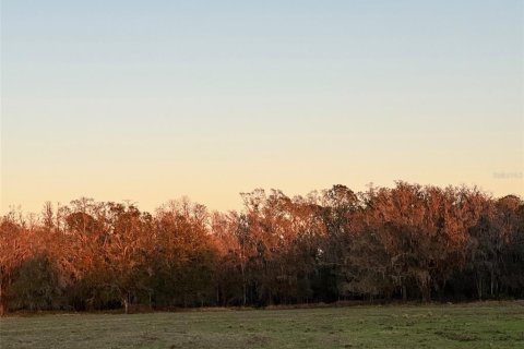 Terreno en venta en Lakeland, Florida № 1912494 - foto 3