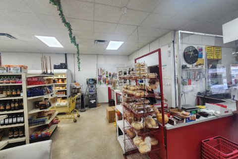 Commercial property in Hialeah, Florida № 2074887 - photo 19