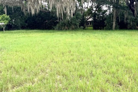 Land in Howey-in-the-Hills, Florida № 1843108 - photo 2