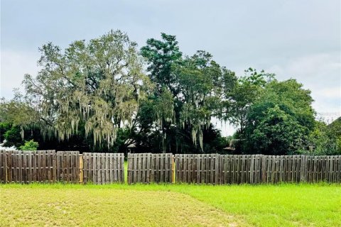 Land in Howey-in-the-Hills, Florida № 1843108 - photo 1