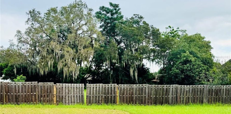 Land in Howey-in-the-Hills, Florida № 1843108