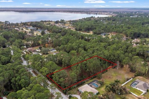 Land in DeBary, Florida № 1558988 - photo 3