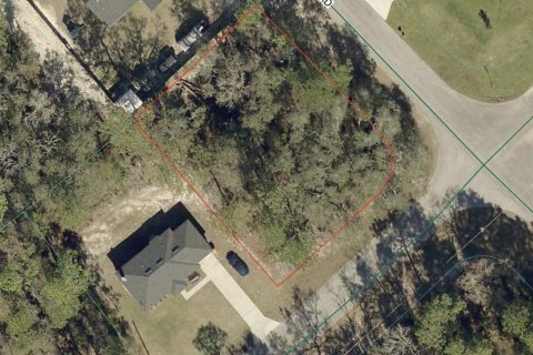 Terrain à Ocala, Floride № 2161595