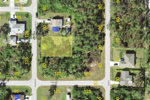 Land in Port Charlotte, Florida № 2159740 - photo 2