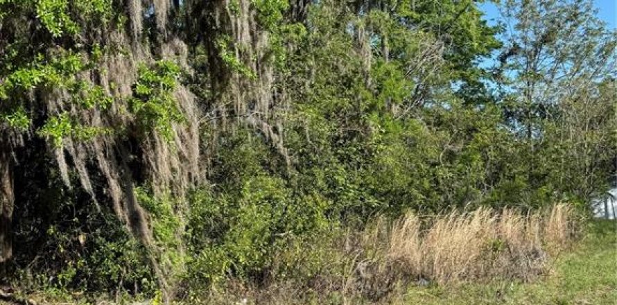 Terrain à Ocala, Floride № 2232754