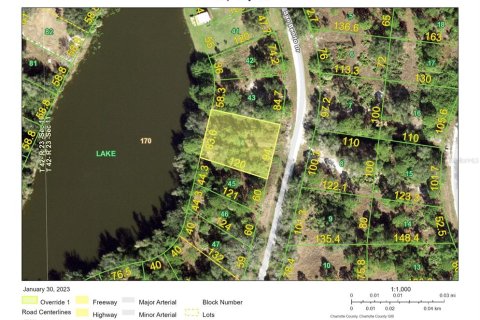 Land in Punta Gorda, Florida № 1812975 - photo 1