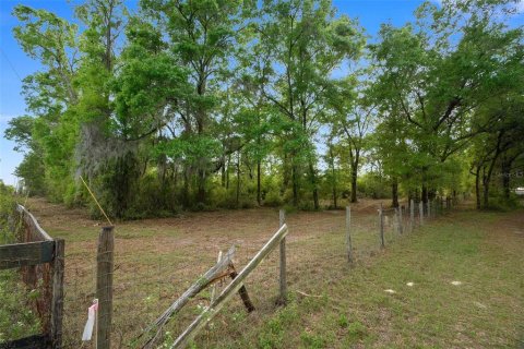 Terreno en venta en Ocala, Florida № 1777441 - foto 5