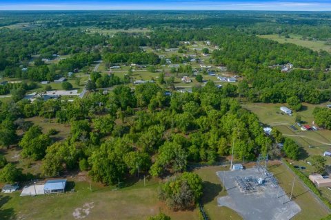 Terreno en venta en Ocala, Florida № 1777441 - foto 6
