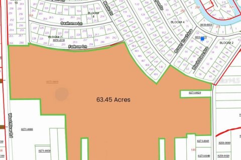 Terreno en venta en Palatka, Florida № 1378474 - foto 3