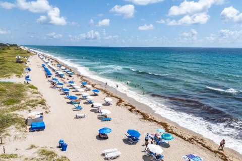 Commercial property in Delray Beach, Florida № 2251526 - photo 7