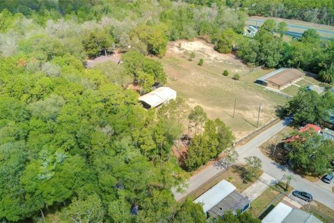 Commercial property in Brooksville, Florida 61.5 sq.m. № 2393417 - photo 12
