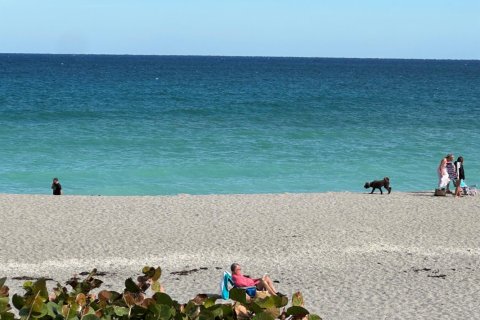 Propiedad comercial en alquiler en North Palm Beach, Florida, 2 dormitorios, 83.61 m2 № 1059132 - foto 1