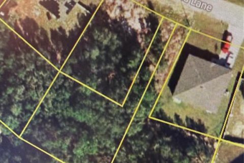 Land in Kissimmee, Florida № 2151153 - photo 2