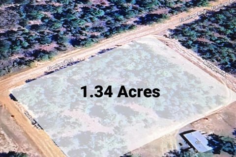 Land in Interlachen, Florida № 2164181 - photo 3