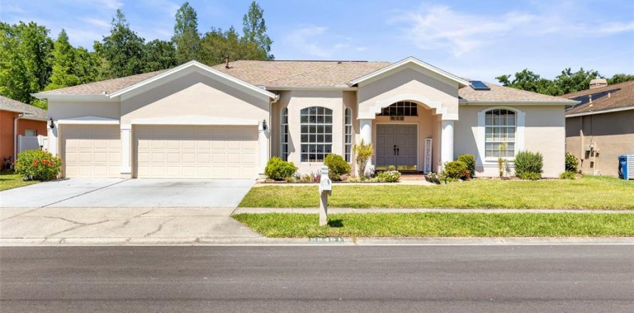 House in Wesley Chapel, Florida 4 bedrooms, 258.08 sq.m. № 1637289
