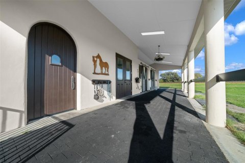 Land in Dunnellon, Florida № 1616153 - photo 27