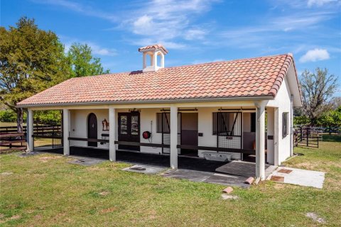 Land in Dunnellon, Florida № 1616153 - photo 11