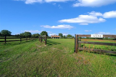 Land in Dunnellon, Florida № 1616153 - photo 7