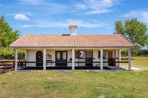 Land in Dunnellon, Florida № 1616153 - photo 10