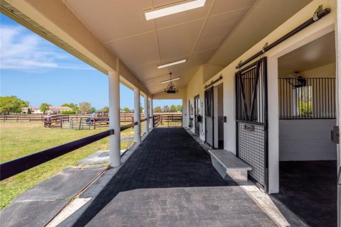 Land in Dunnellon, Florida № 1616153 - photo 13