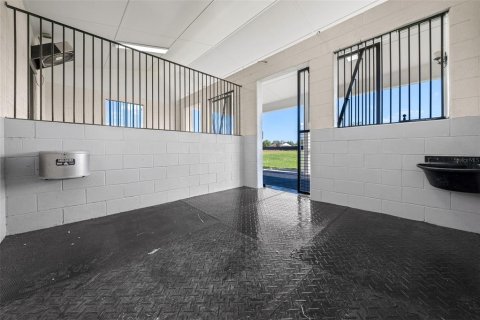 Land in Dunnellon, Florida № 1616153 - photo 16