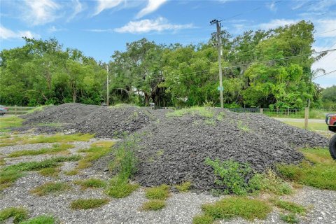 Commercial property in Yalaha, Florida № 1122330 - photo 28