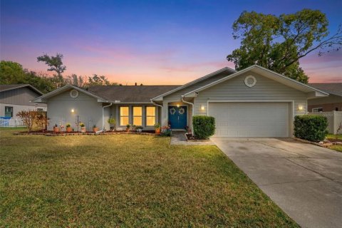Villa ou maison à vendre à Valrico, Floride: 3 chambres, 182.37 m2 № 2213157 - photo 3