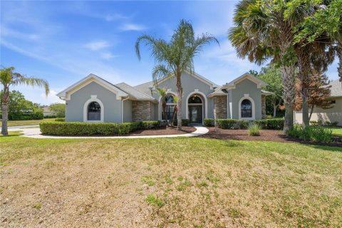 Villa ou maison à Mount Dora, Floride 3 chambres, 197.32 m2 № 2237387