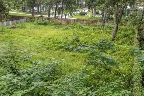 Terreno en Gainesville, Florida № 2199646