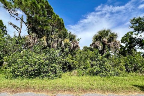 Terrain à Port Charlotte, Floride № 2273103