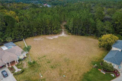 Terreno en venta en New Port Richey, Florida № 1543636 - foto 7