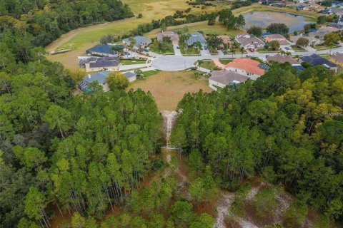 Terreno en venta en New Port Richey, Florida № 1543636 - foto 15