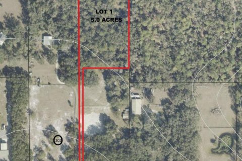 Terrain à Chuluota, Floride № 2310937