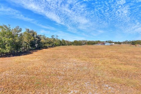 Land in Wimauma, Florida № 2329657 - photo 3