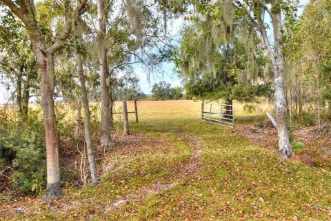 Land in Wimauma, Florida № 2329657 - photo 2