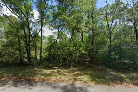 Land in Crystal River, Florida № 2348410