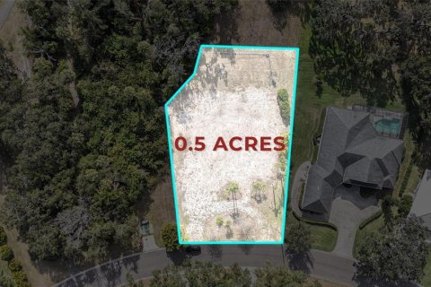 Land in Parrish, Florida № 2212775 - photo 3