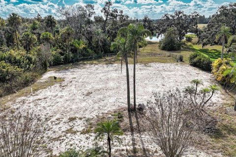 Land in Parrish, Florida № 2212775 - photo 4