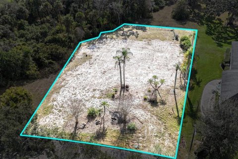 Land in Parrish, Florida № 2212775 - photo 7
