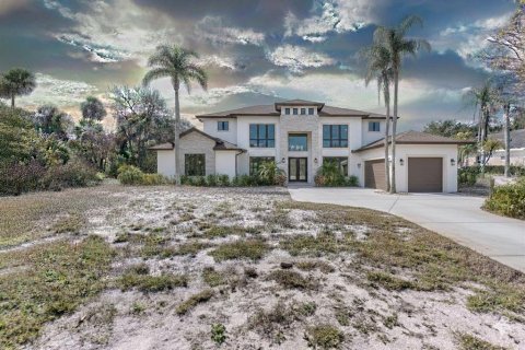 Land in Parrish, Florida № 2212775 - photo 10