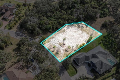Land in Parrish, Florida № 2212775 - photo 5