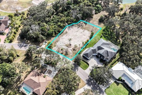 Land in Parrish, Florida № 2212775 - photo 8