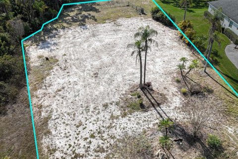 Land in Parrish, Florida № 2212775 - photo 6