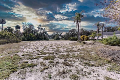 Land in Parrish, Florida № 2212775 - photo 2