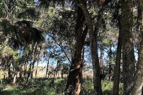Terreno en venta en Homosassa, Florida № 681296 - foto 6
